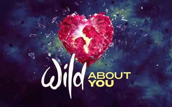 Imagem de Wild About You